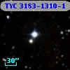 TYC 3183-1310-1