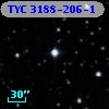 TYC 3188-206-1
