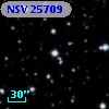 NSV 25709