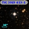 TYC 3169-613-1