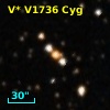 V* V1736 Cyg