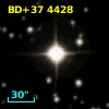 BD+37  4428