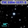 TYC 3184-1177-1