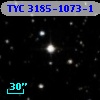 TYC 3185-1073-1