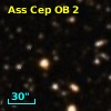 Ass Cep OB   2-