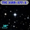 TYC 3189-177-1