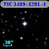 TYC 3189-1291-1