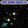 TYC 3189-1672-1