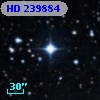 HD 239884