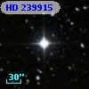 HD 239915