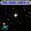 TYC 3185-1477-1
