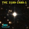 TYC 3189-1480-1