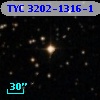 TYC 3202-1316-1