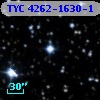TYC 4262-1630-1