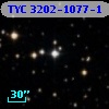TYC 3202-1077-1