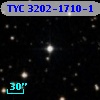 TYC 3202-1710-1