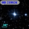 HD 239826