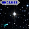 HD 239858