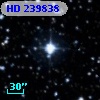 HD 239838