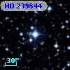 HD 239844