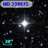 HD 239875