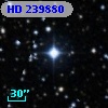 HD 239880
