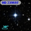 HD 239897