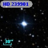HD 239901