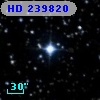 HD 239820