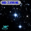 HD 239846