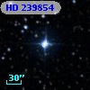 HD 239854