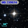 HD 239874