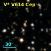 V* V614 Cep