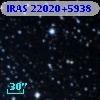 IRAS 22020+5938