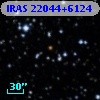 IRAS 22044+6124