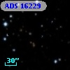 ADS 16229