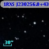 1RXS J230256.0+431825