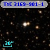 TYC 3169-901-1