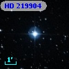 HD 219904
