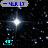 ** MLR    17