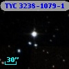 TYC 3238-1079-1