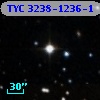 TYC 3238-1236-1