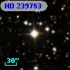 HD 239783
