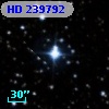 HD 239792