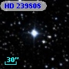 HD 239808