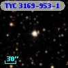 TYC 3169-953-1