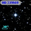 HD 239809