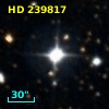 HD 239817