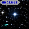 HD 239818