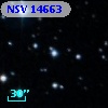 NSV 14663